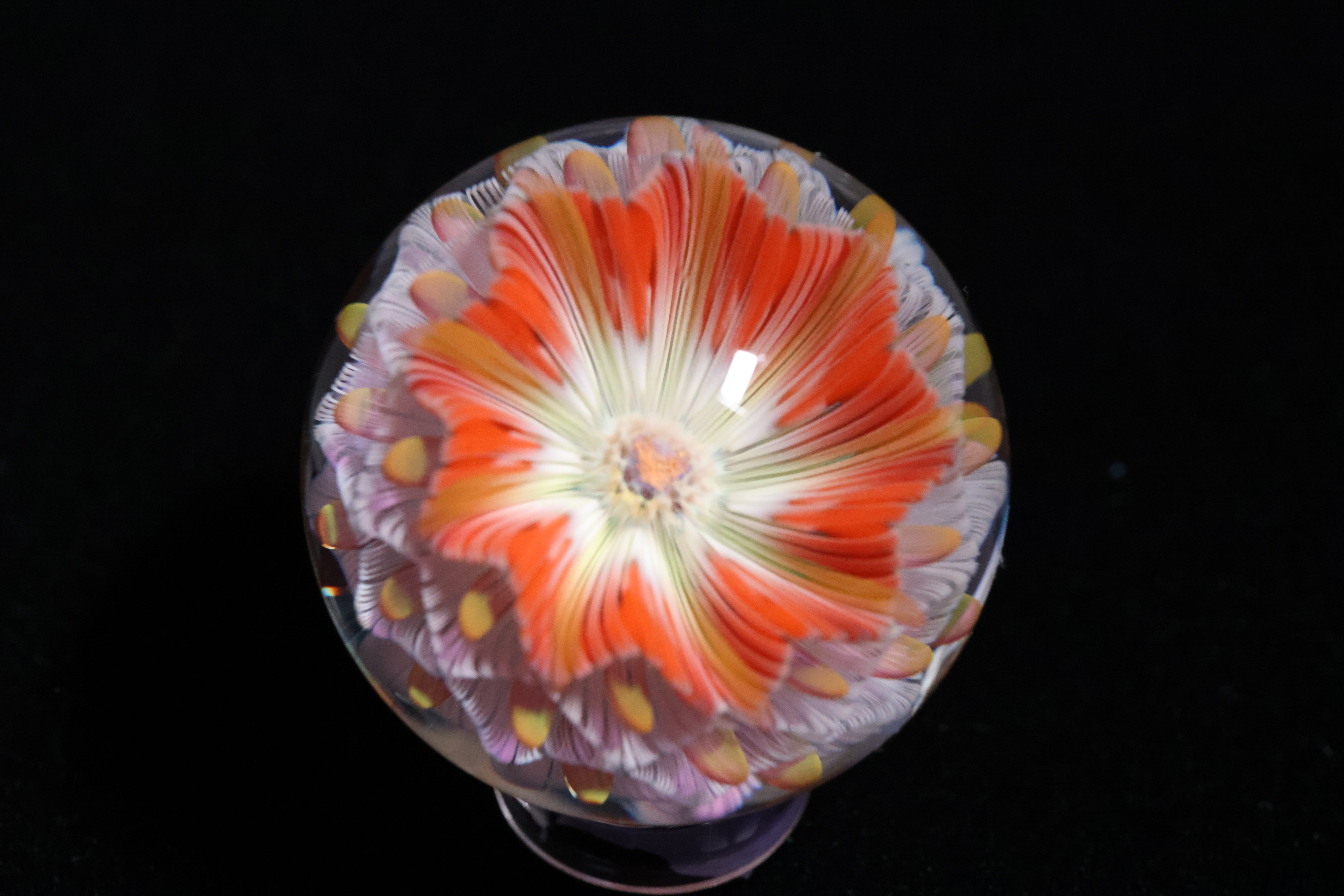 Richard Hollingshead