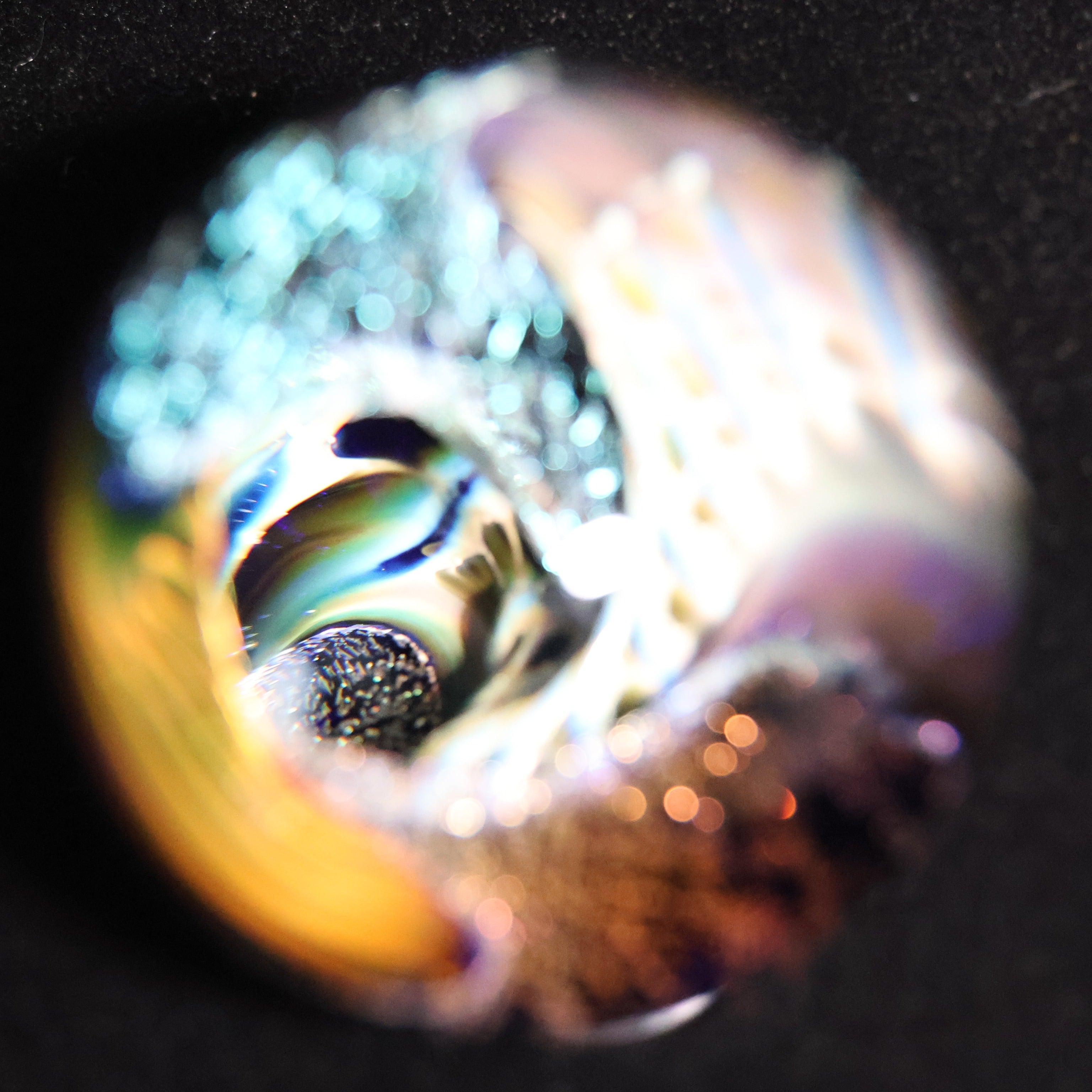 The Electric Reef 2-1/2"