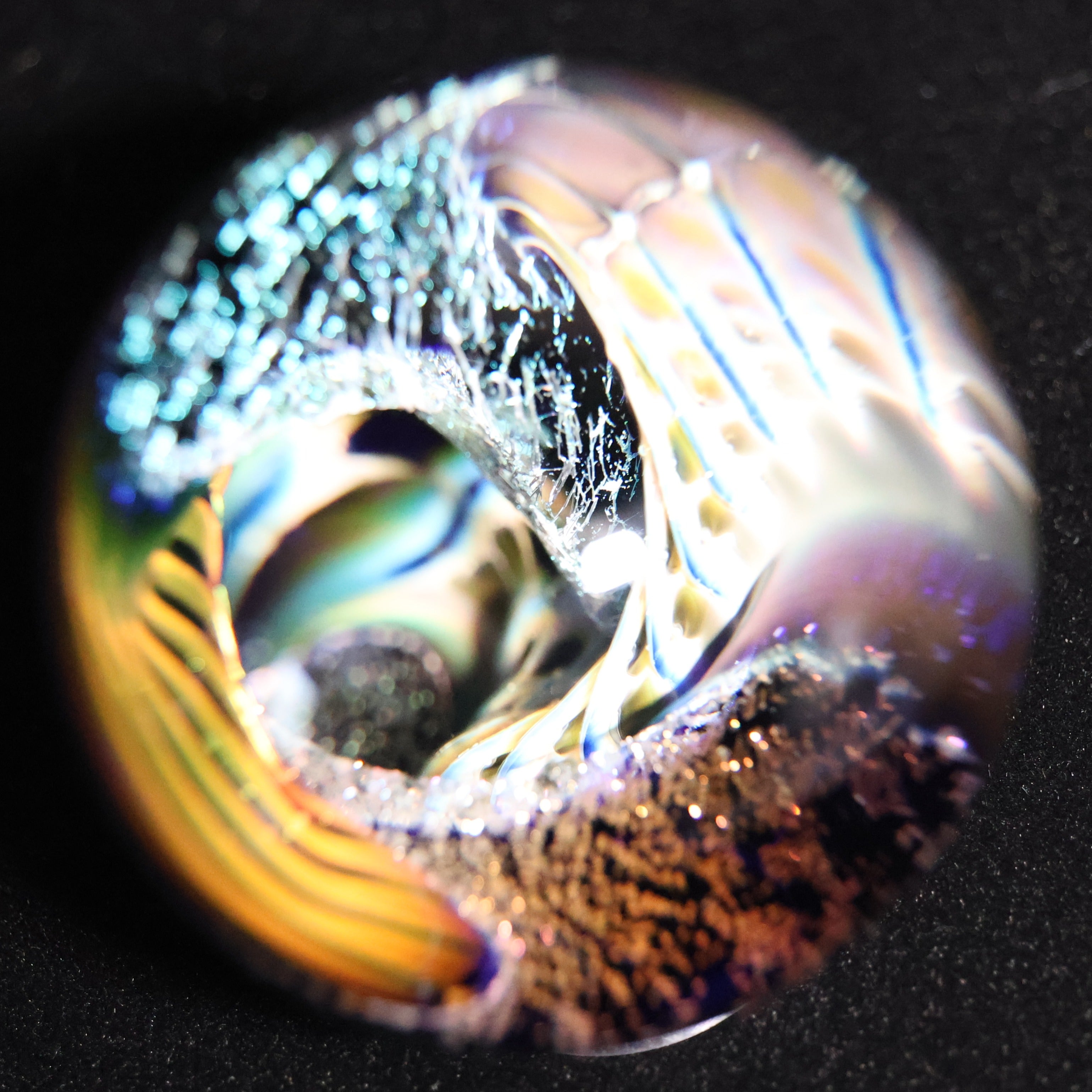 The Electric Reef 2-1/2"