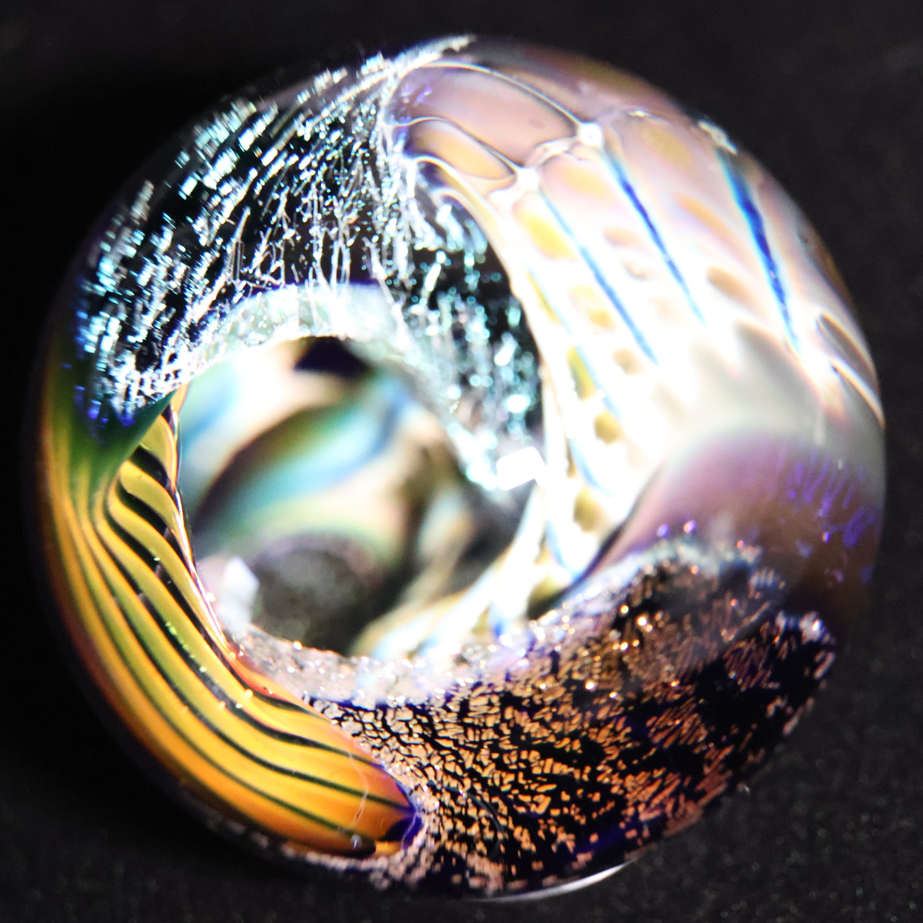 The Electric Reef 2-1/2"