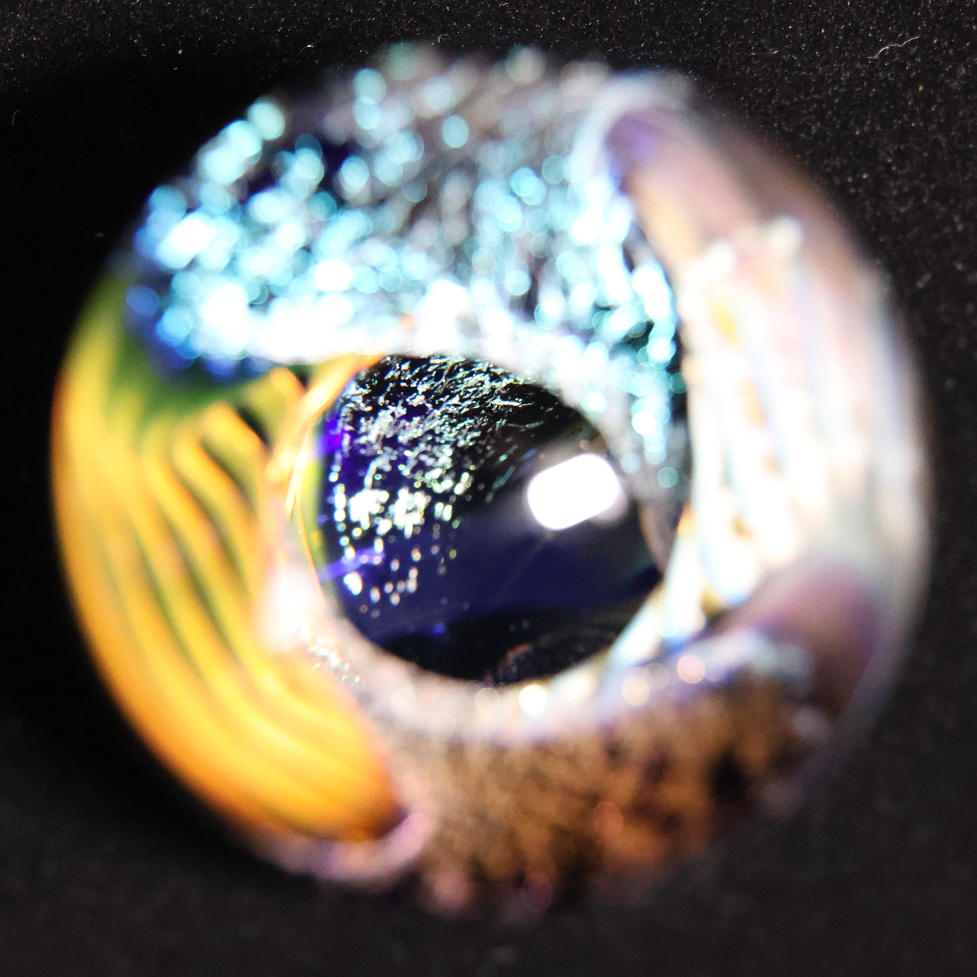 The Electric Reef 2-1/2"