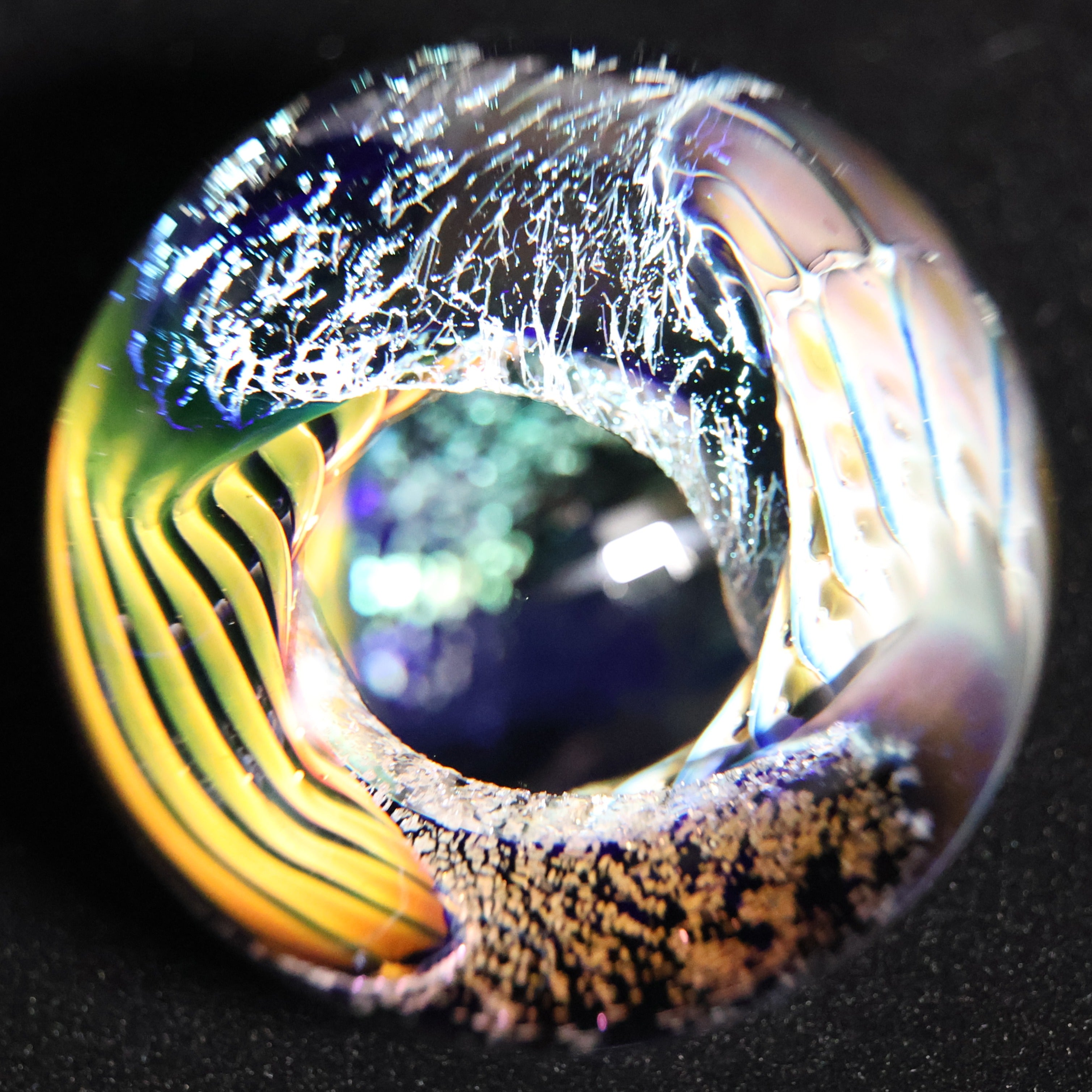 The Electric Reef 2-1/2"