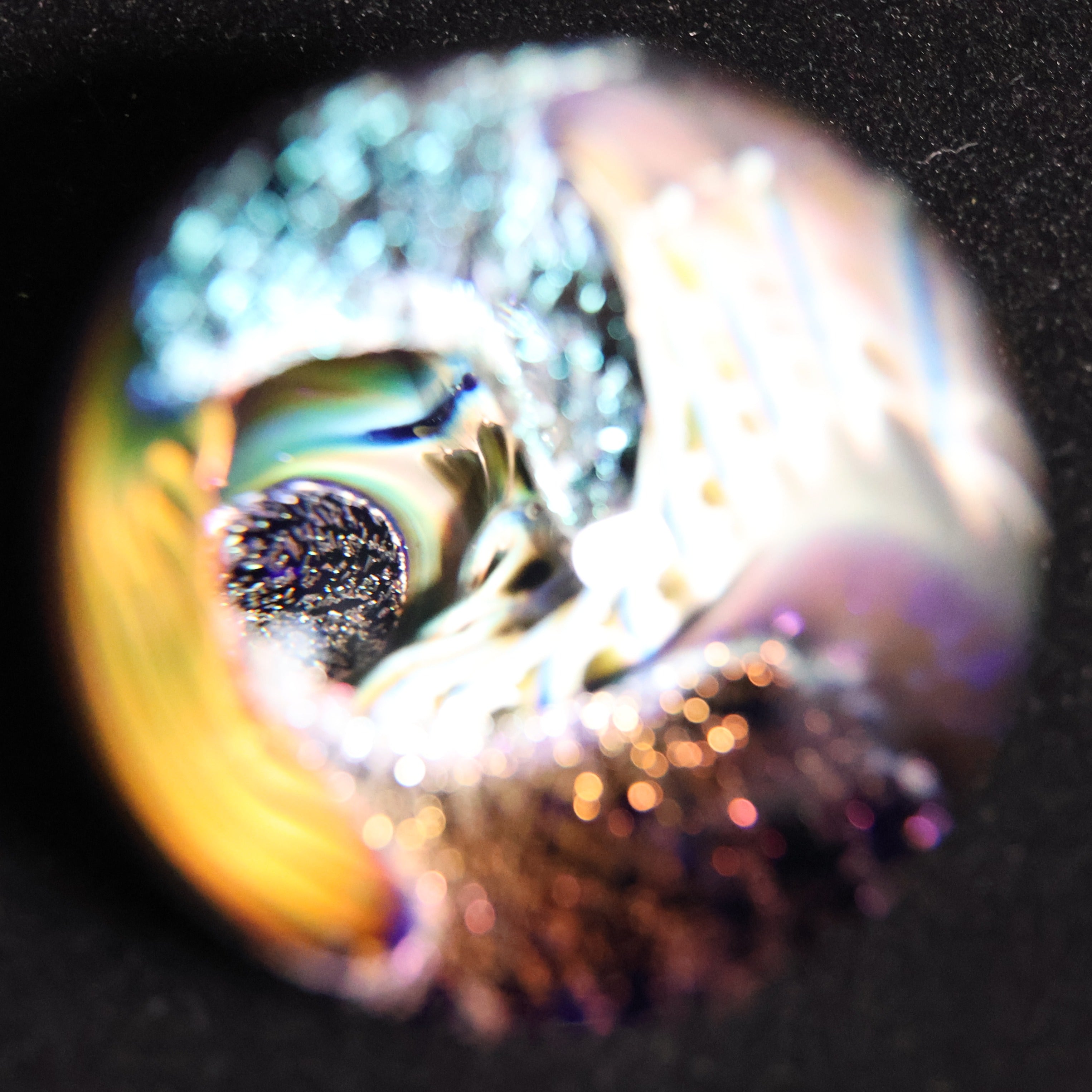 The Electric Reef 2-1/2"