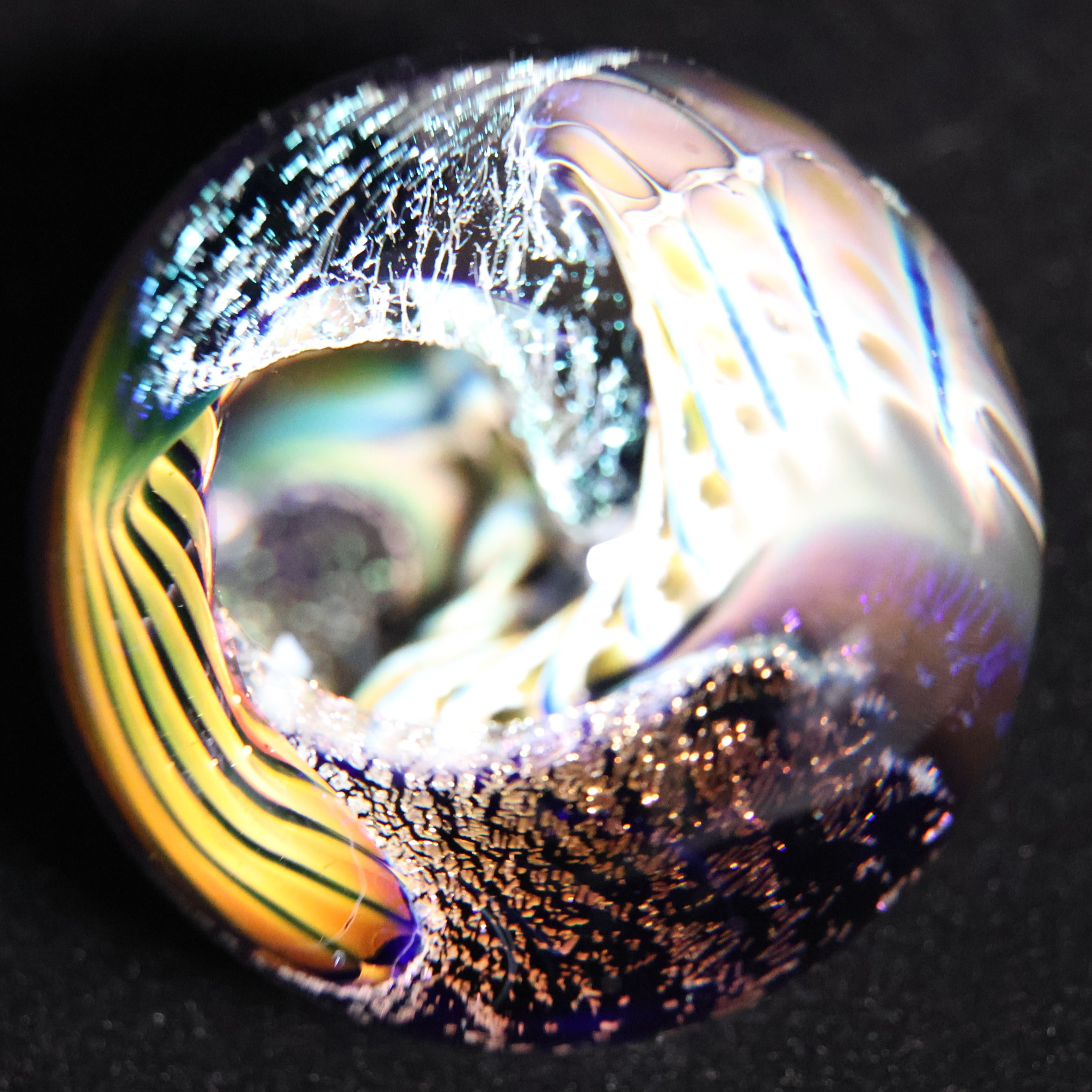 The Electric Reef 2-1/2"