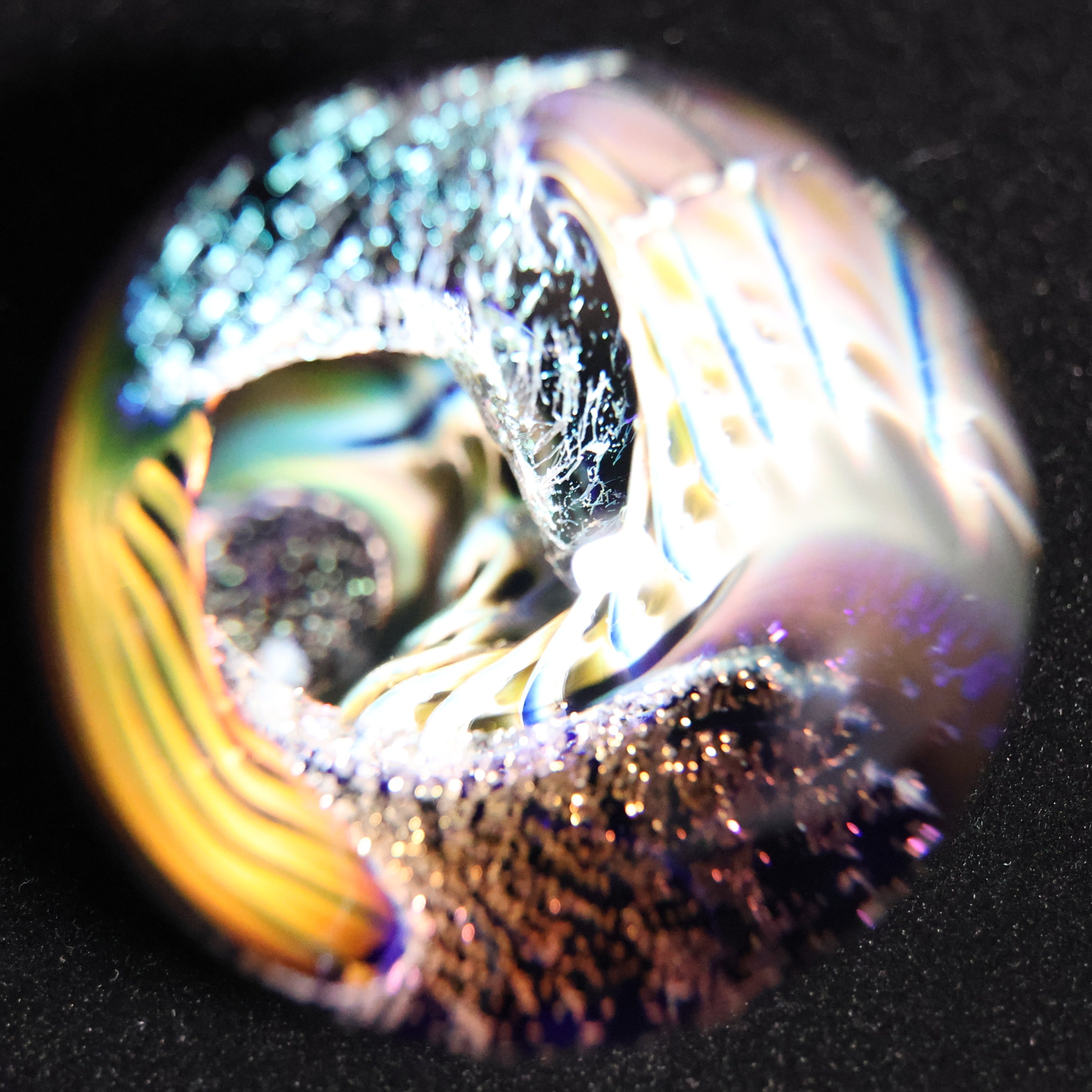 The Electric Reef 2-1/2"