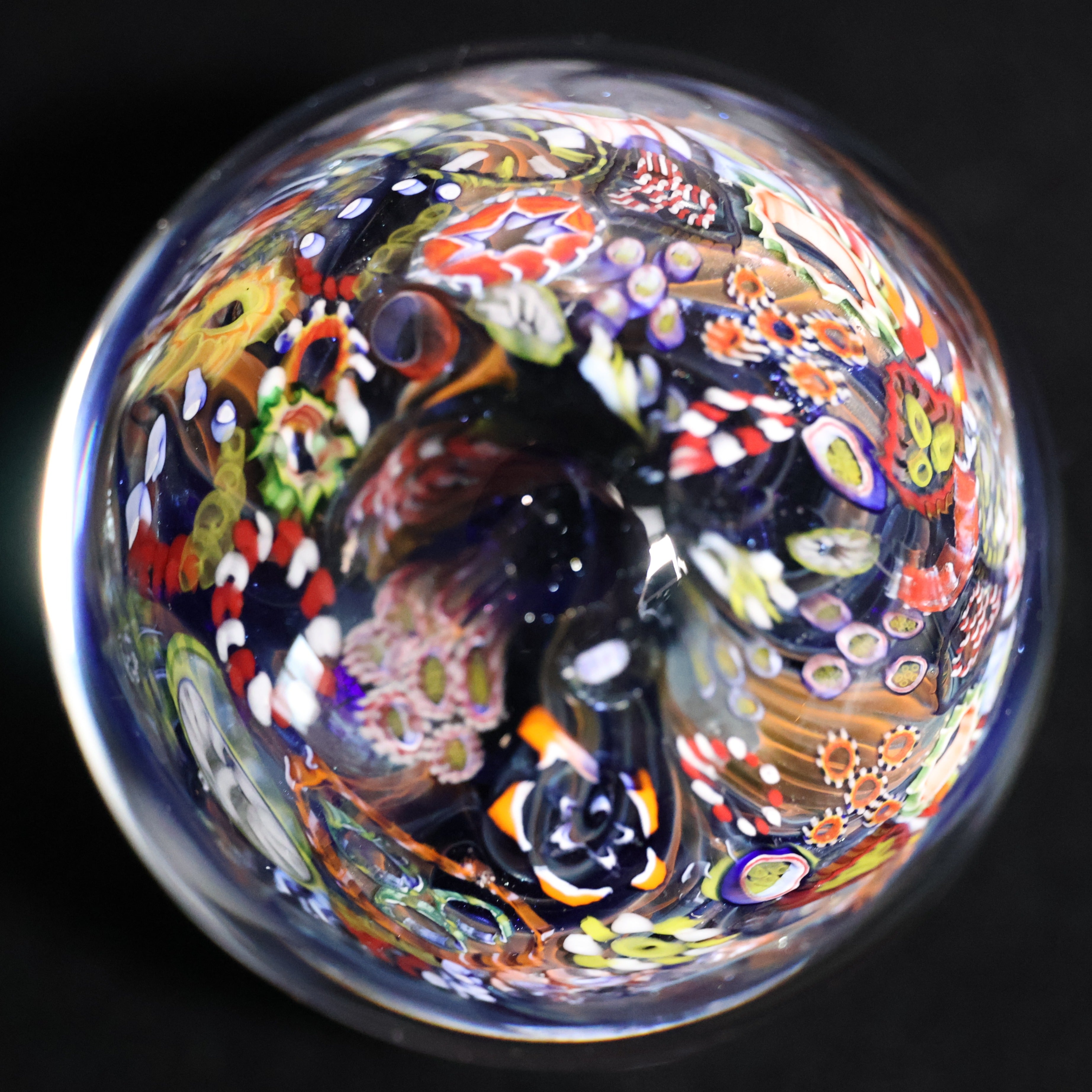 The Electric Reef 2-1/2"