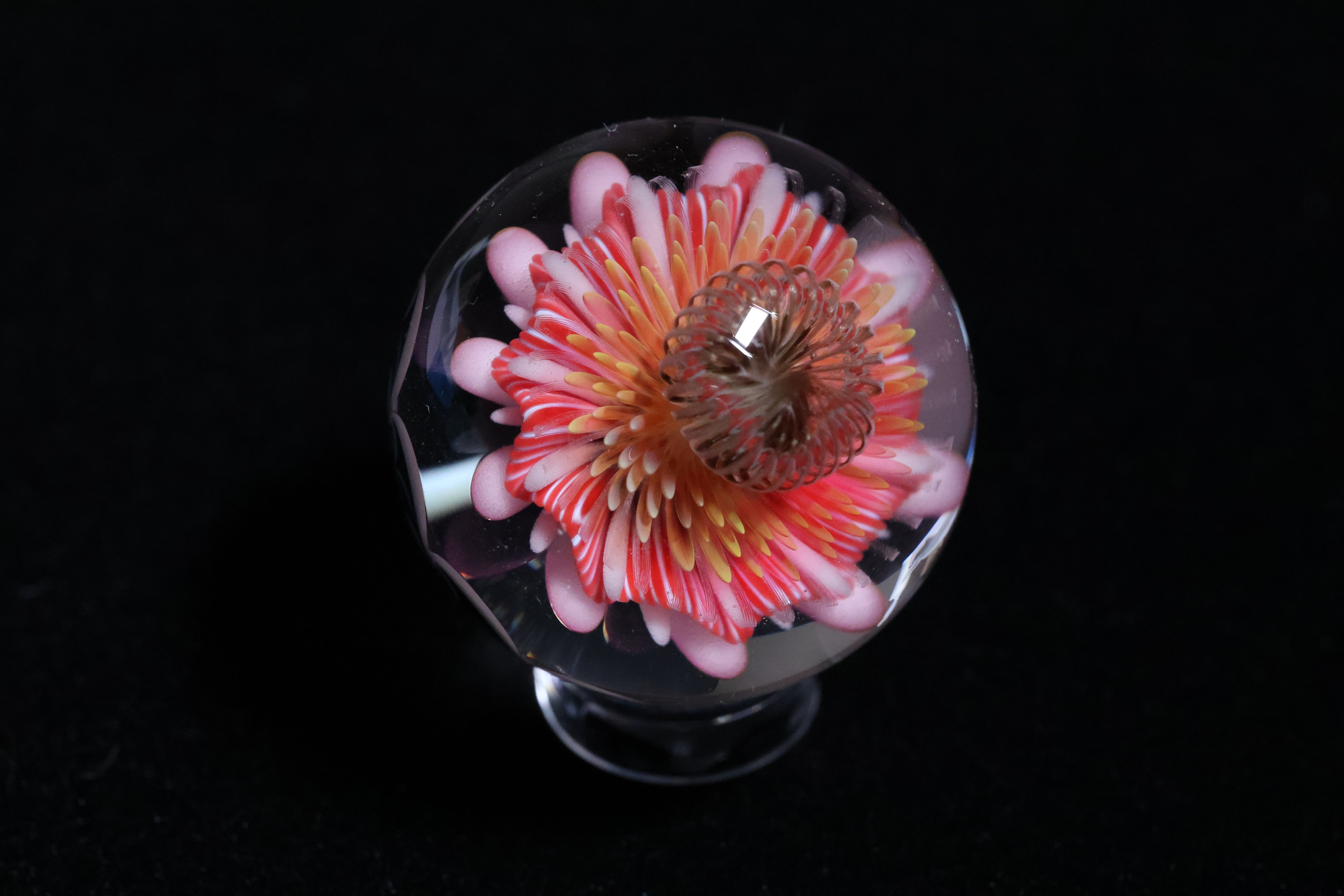 PinWheeled Explosion 1-1/4"
