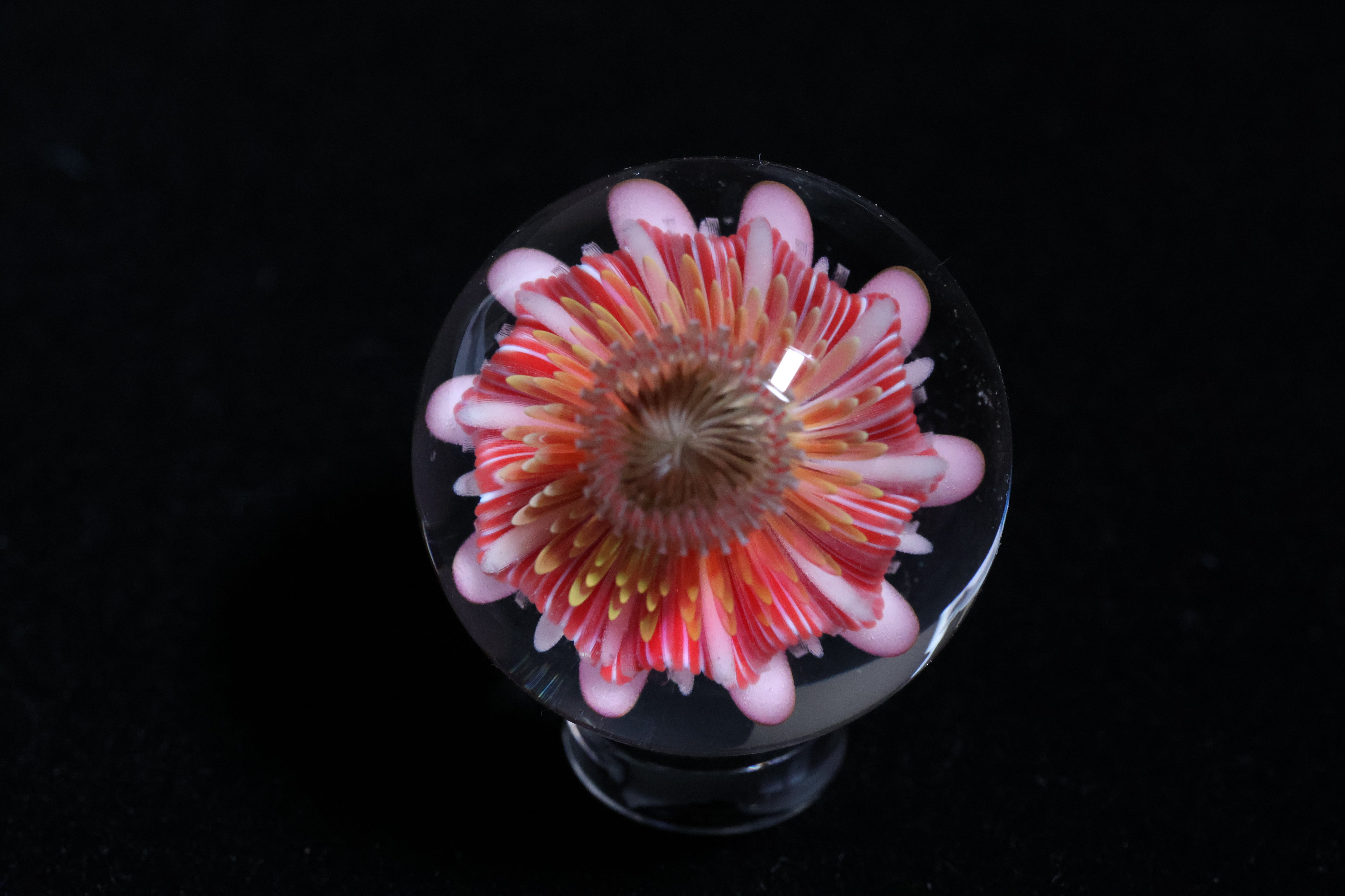 PinWheeled Explosion 1-1/4"