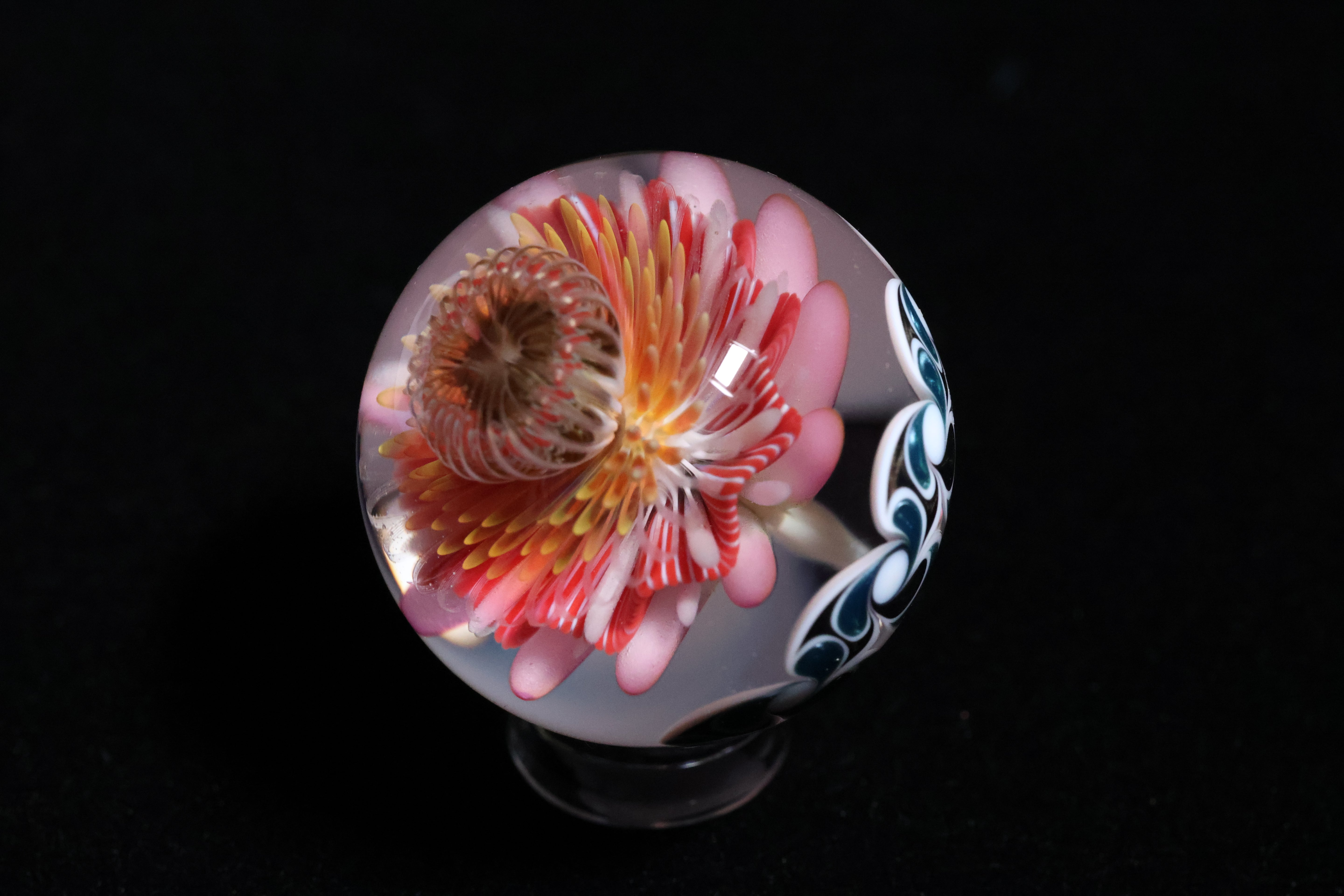 PinWheeled Explosion 1-1/4"
